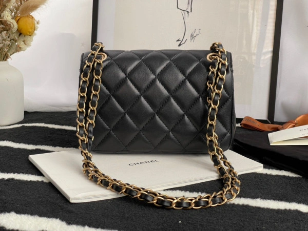 AllSeason CHANEL FLAP BAG 602 - Image 5