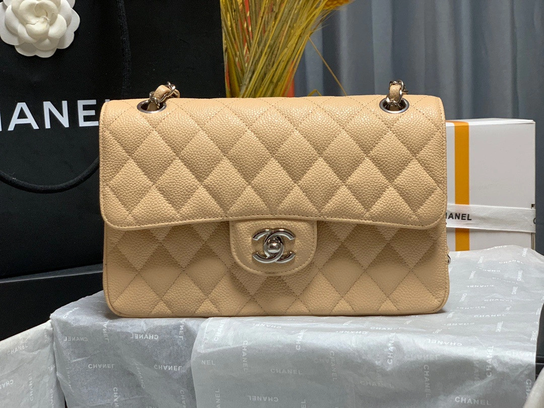 TopPick CHANEL FLAP BAG 23CM 433