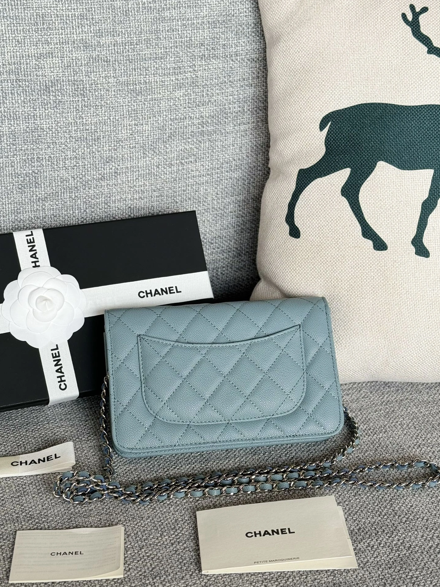 Chanel AAA Quality Messenger Bags In Silver For Women Versatile 9358