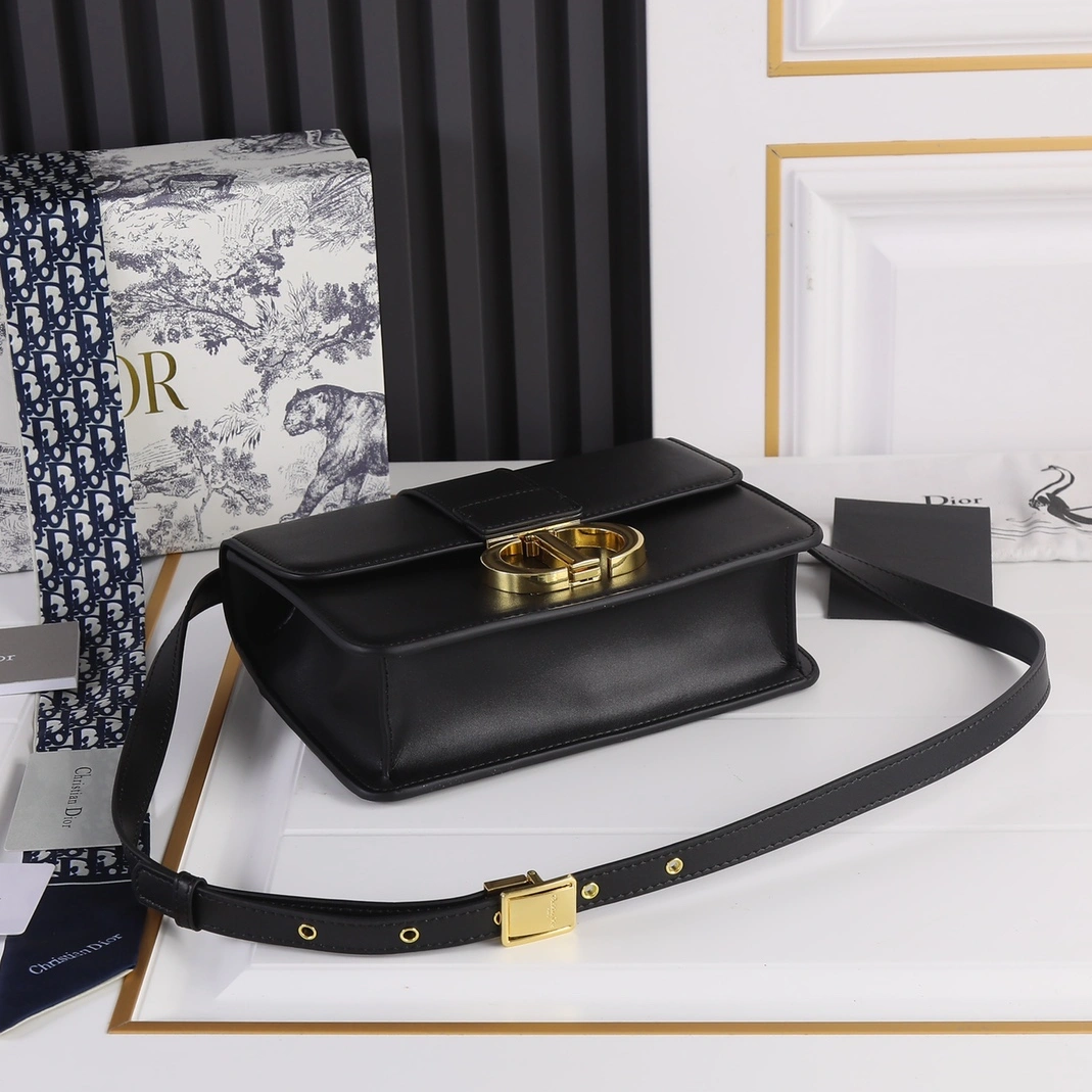 Christian Dior AAA Quality Messenger Bags For Women AllSeason 7760 - Image 7