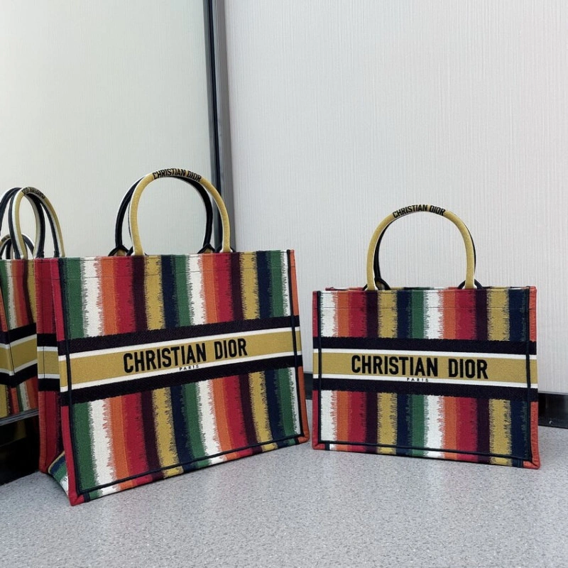 Can be ca Christian Dior Book Tote Multicolor D-Stripes Embroidery - Image 12