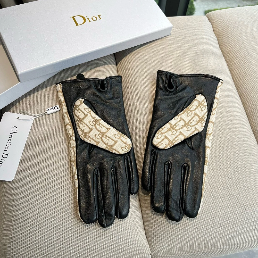 Christian Dior Gloves For Women Trendsetting 8918
