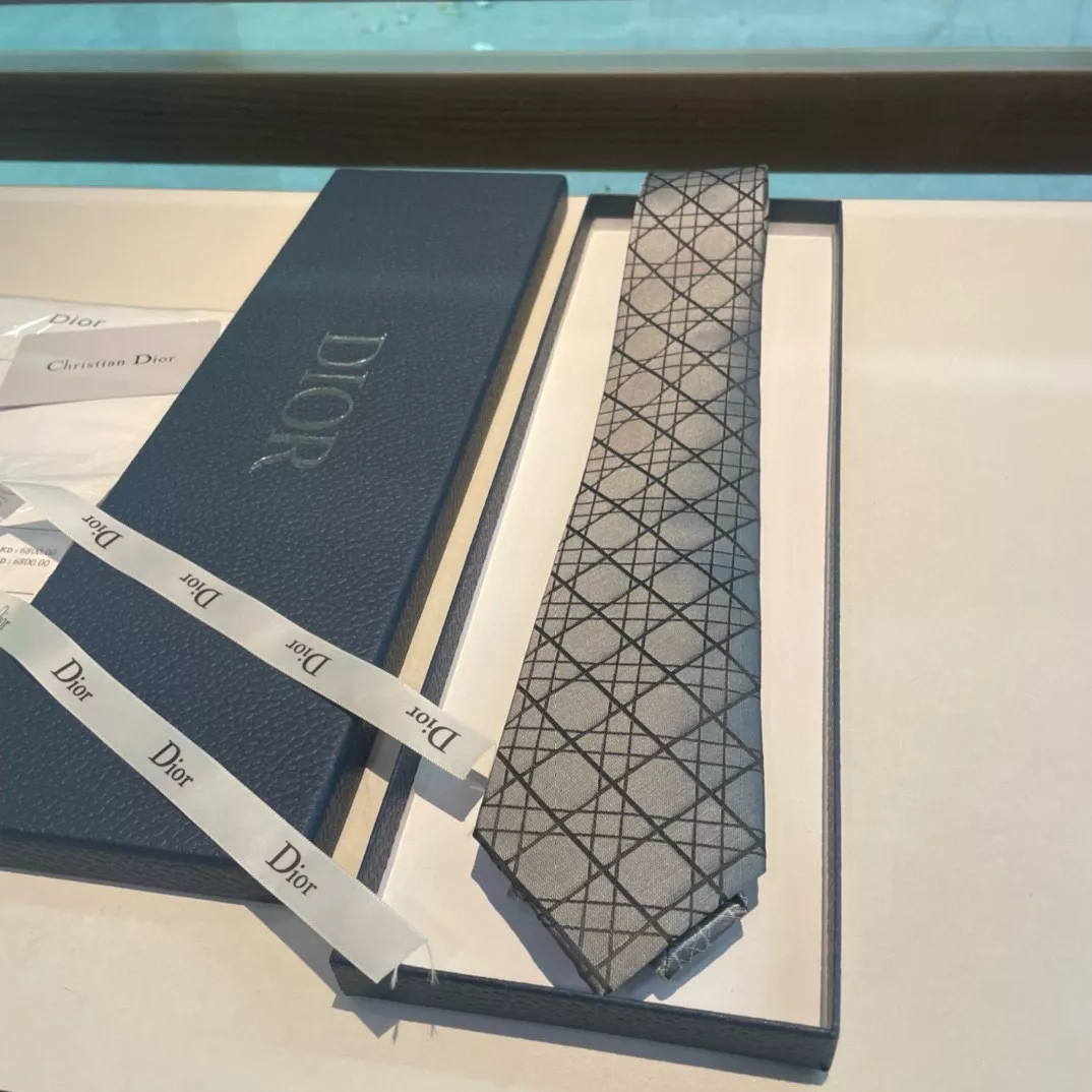 Christian Dior Necktie Refined 6532