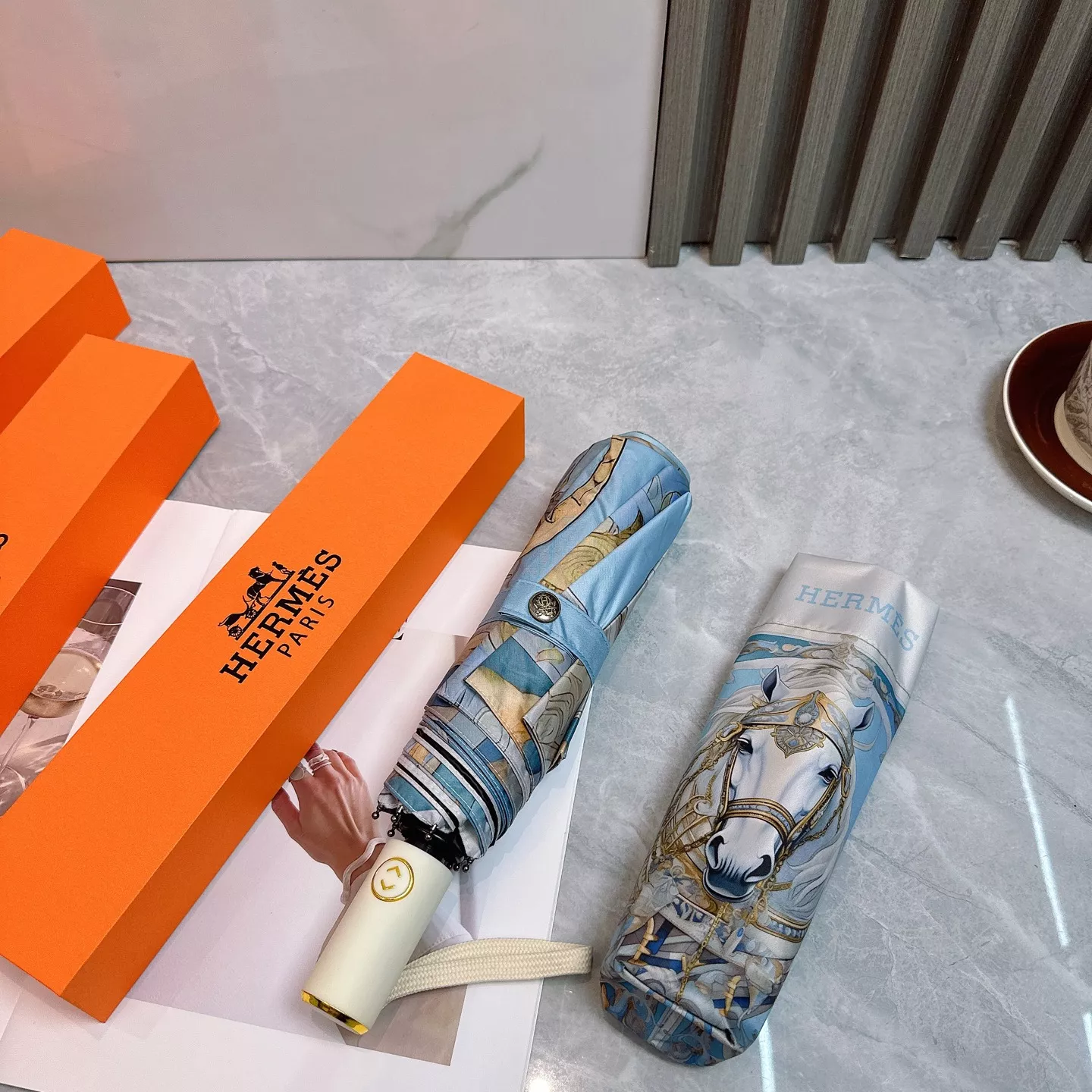 GoAnywhere 4662 Hermes Umbrellas - Image 7