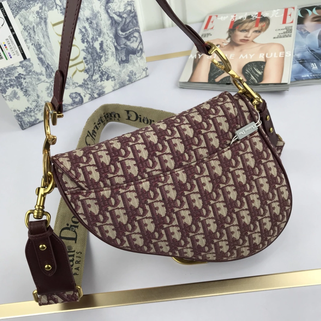 GoAnywhere 9549 Christian Dior AAA Quality Messenger Bags For Women - Image 3