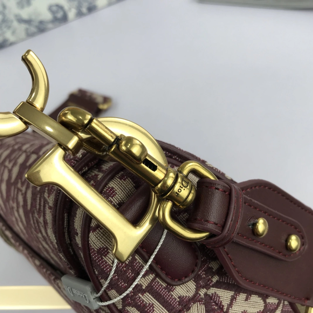 GoAnywhere 9549 Christian Dior AAA Quality Messenger Bags For Women - Image 5