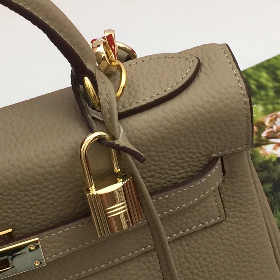 Hermes AAA Quality Messenger Bags For Women Timeless 6366 - Image 4