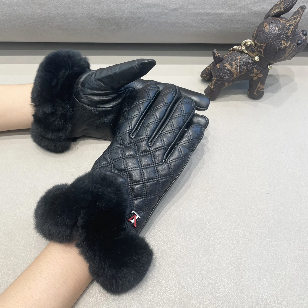 Louis Vuitton LV Gloves For Women DailyWear 4132 - Image 3