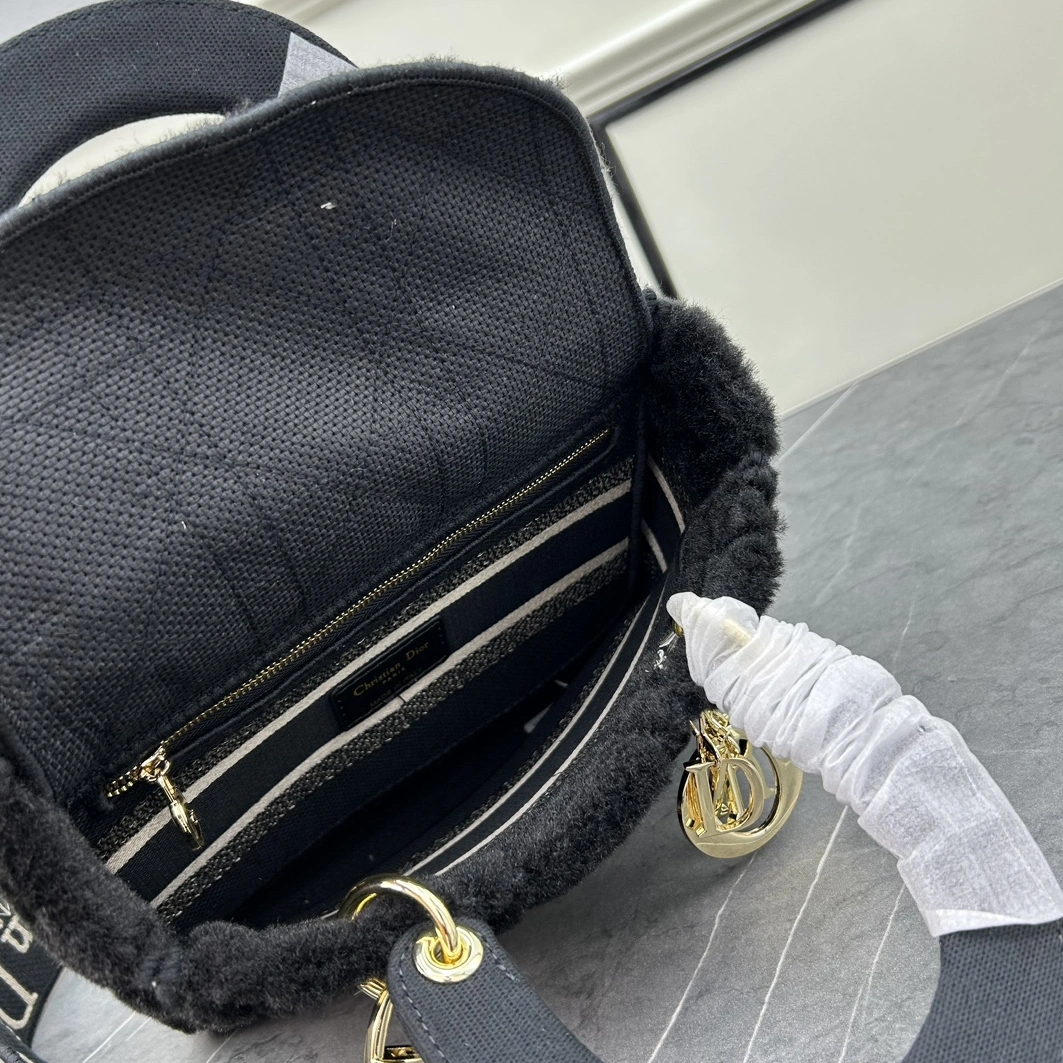 Resilient 5213 Christian Dior AAA Quality Handbags For Women - Image 7