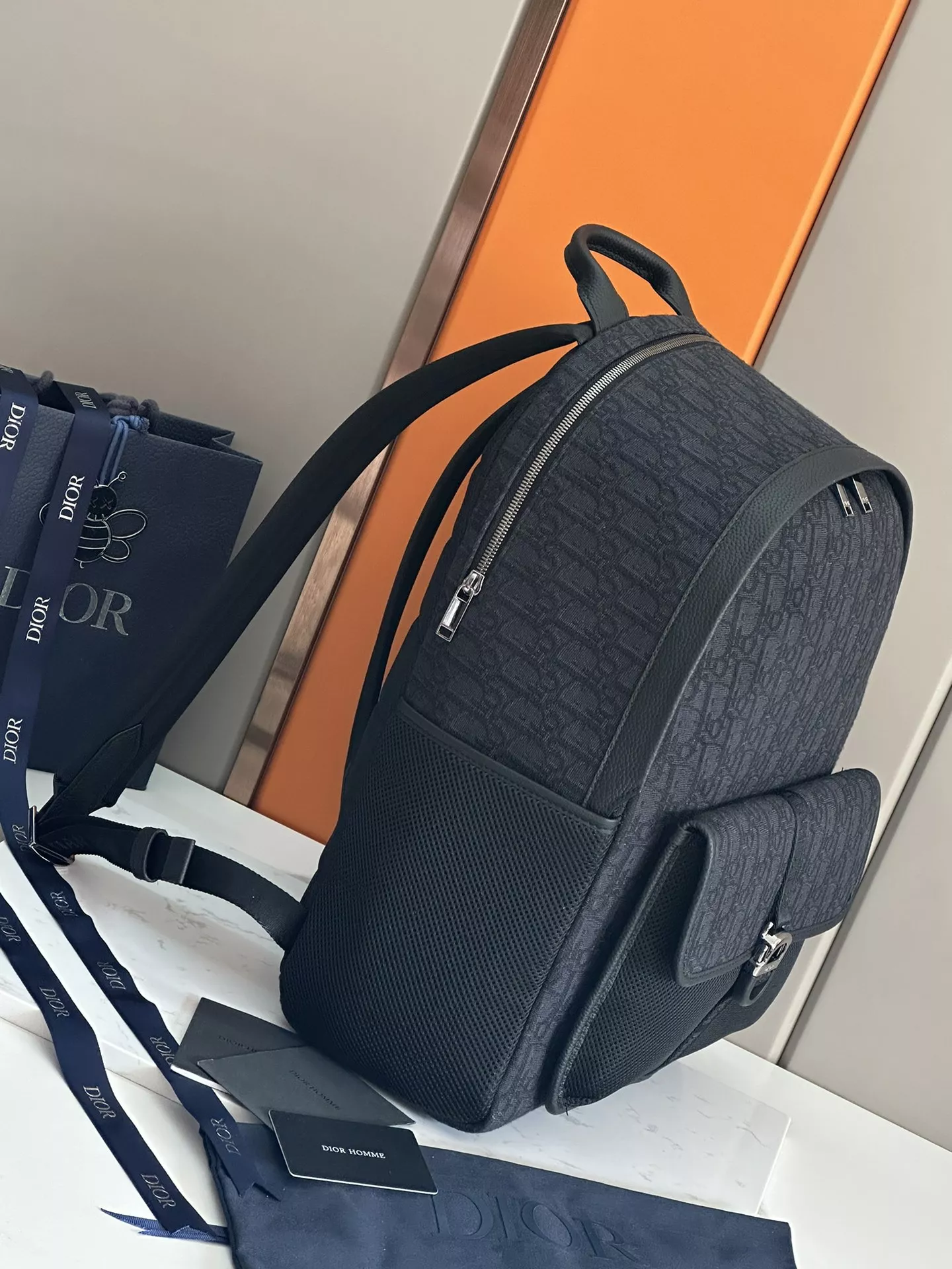 Resilient 7199 Christian Dior AAA Man Backpacks