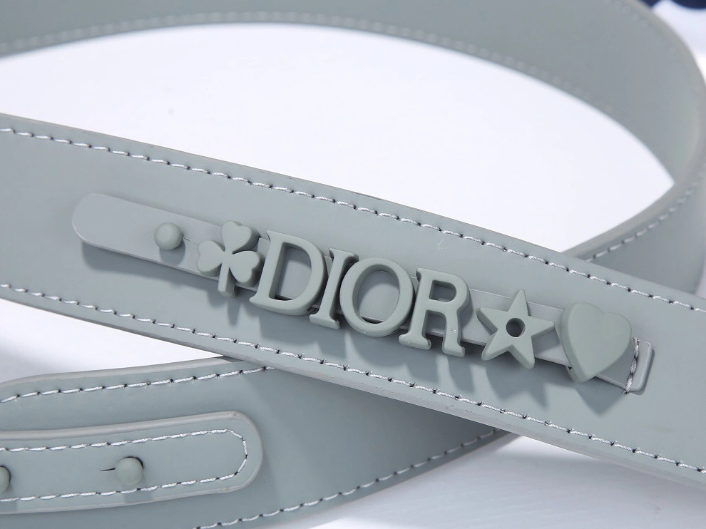 SportInspired 9660 Christian Dior AAA Quality Messenger Bags For Women - Image 4