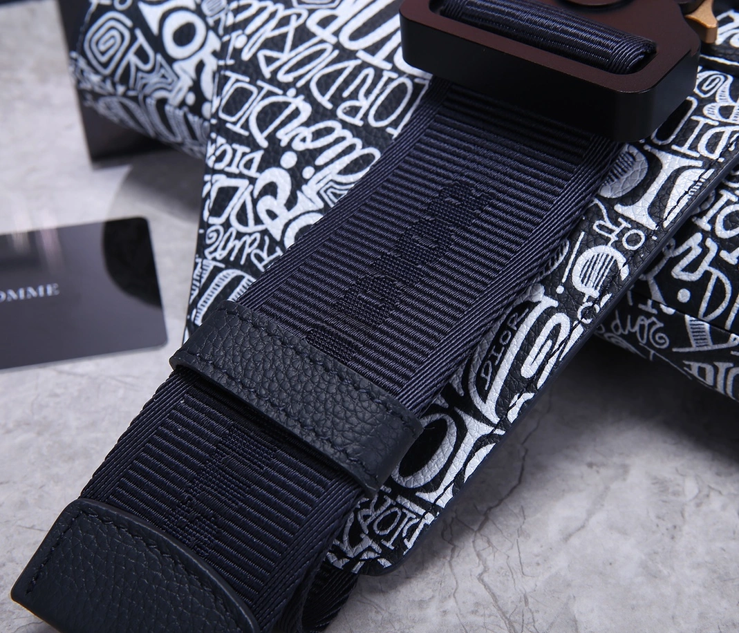 Timeless 3139 Christian Dior AAA Man Messenger Bags - Image 6