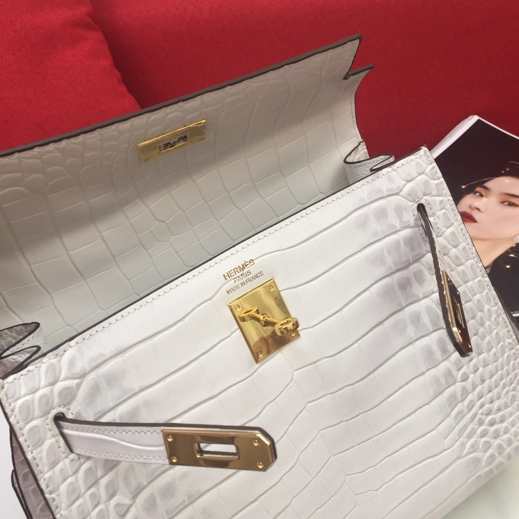 Trendsetting 1896 Hermes AAA Quality Handbags For Women - Image 8