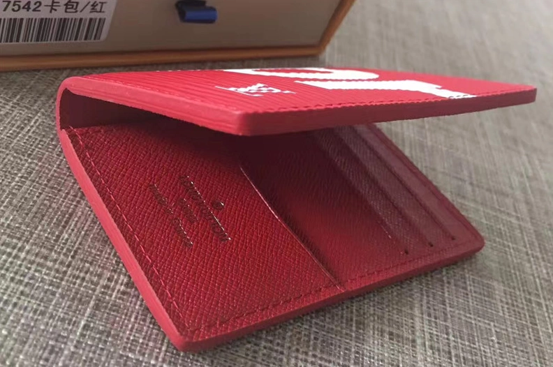 Trendsetting 333 Louis Vuitton LV Passport Bags - Image 5