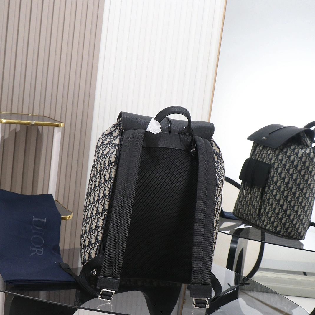 WellDesigned 3302 Christian Dior AAA Man Backpacks - Image 3