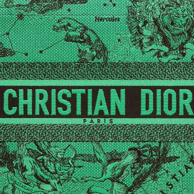 Dior Book Tote Toile de Jouy Zodiac Motif Canvas Green - Image 5