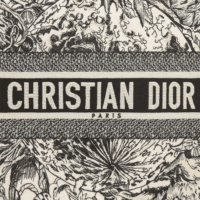 Dior Book Tote Constellation Motif Canvas Grey - Image 4